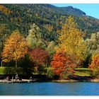 Letztes Ansitzen der Fischer am Bürgerausee in Kuchl