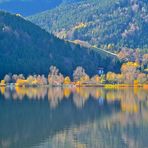 Letztes Baumglühen am Schiersee