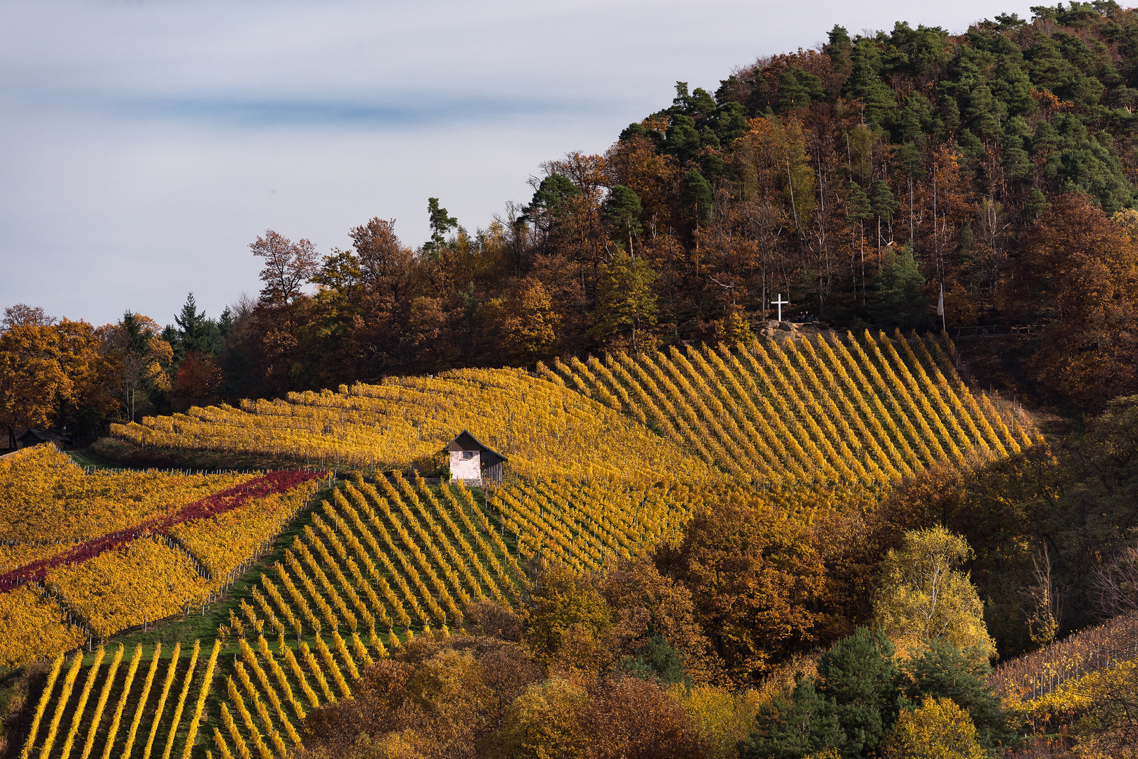 Letztes Farbleuchten