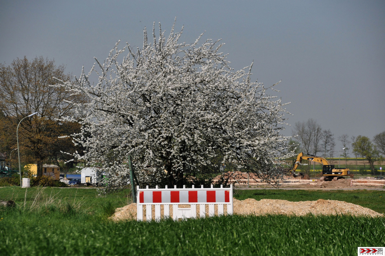 letztes Frühlingserwachen in Immerrath 