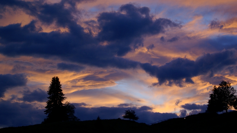 letztes Glühen am Weidenhorizont