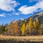 Letztes Herbstbild