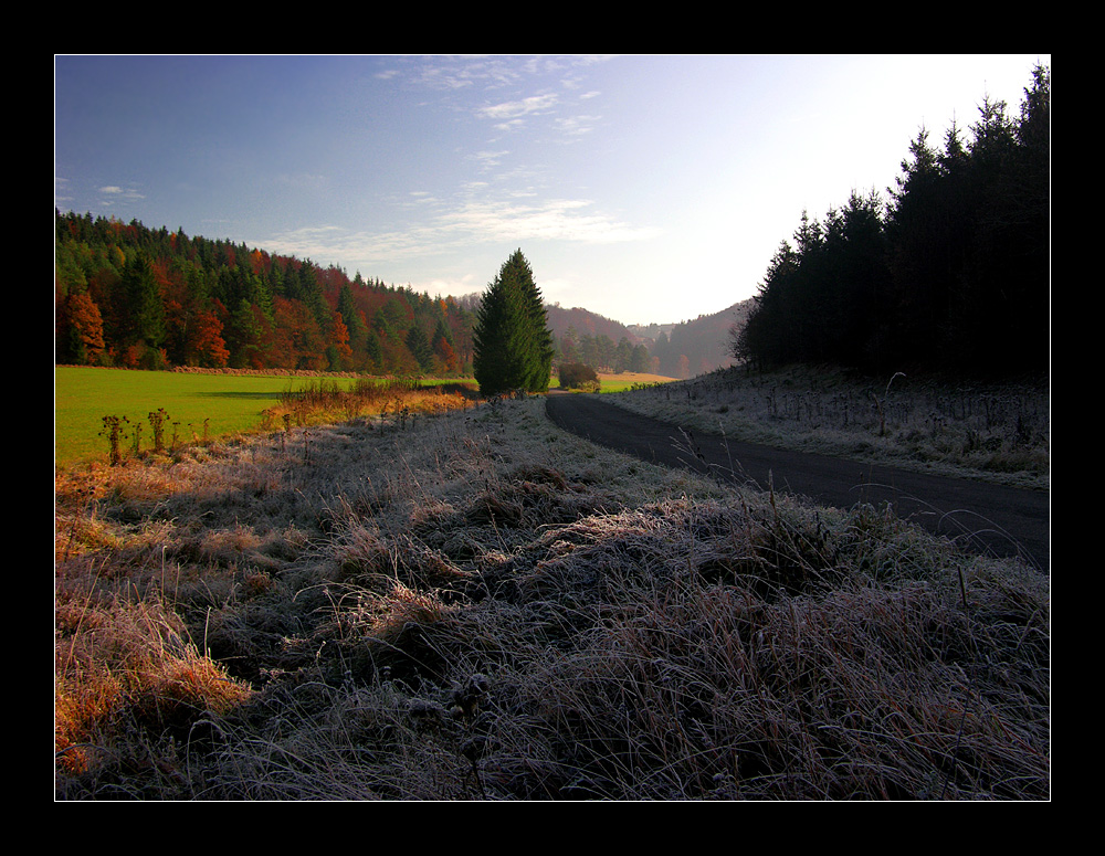 Letztes Herbstbild