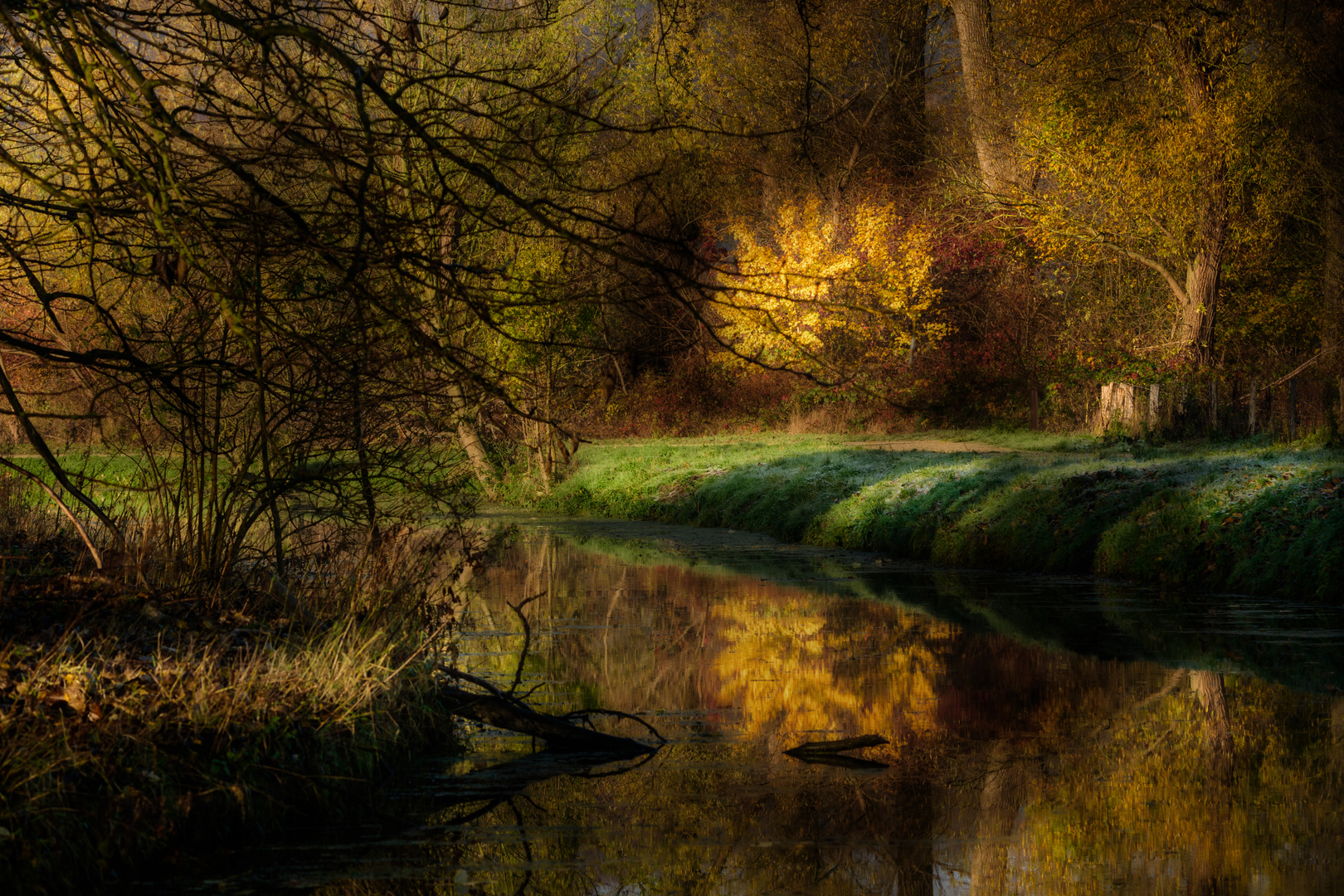 Letztes Herbstleuchten