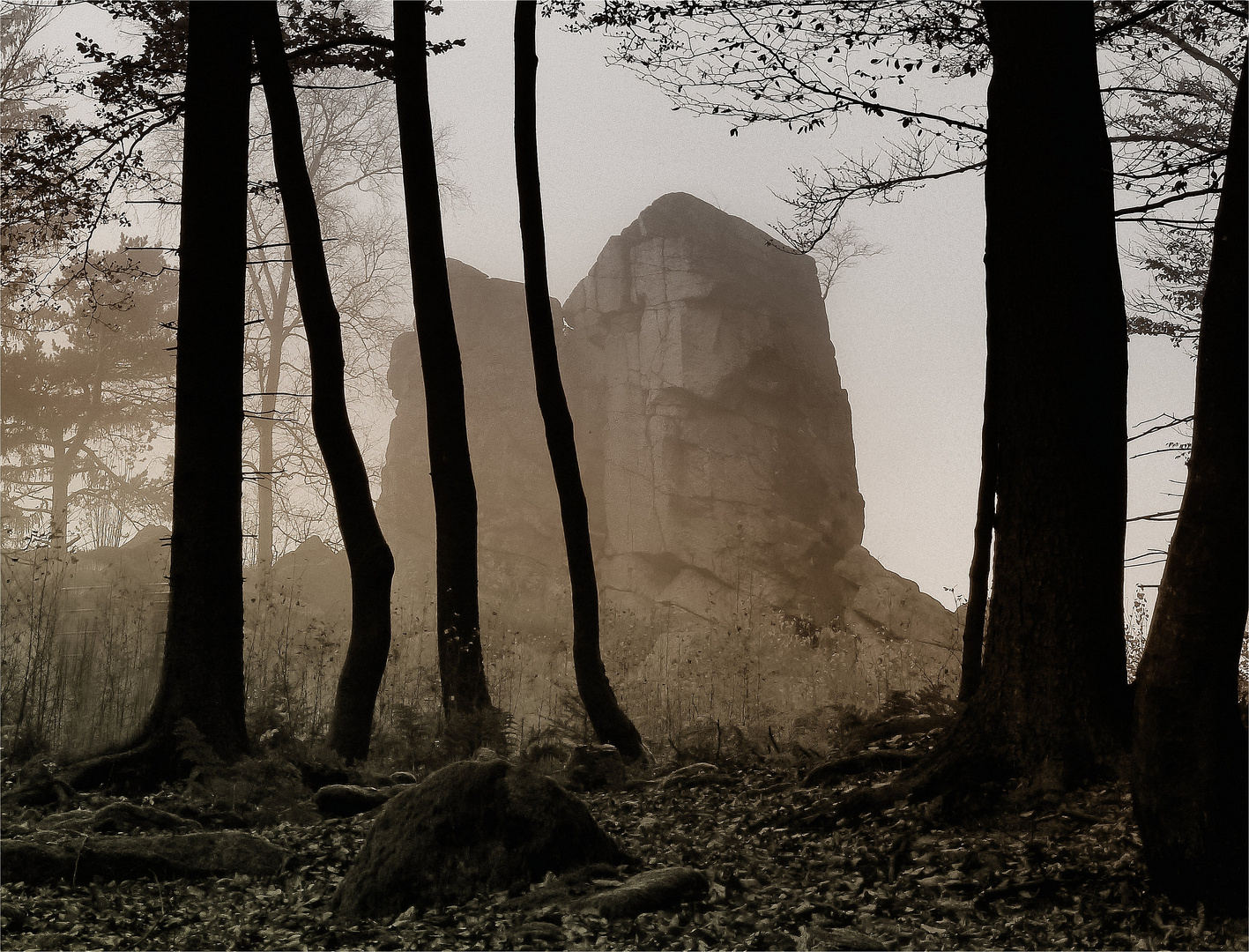 Letztes Herbstlicht im Steinwald