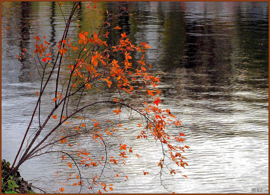 letztes herbstrotes Strahlen an der Spree...  (075)