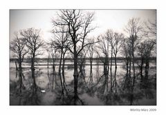 Letztes Hochwasser 2009