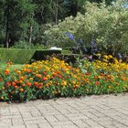 letztes Jahr im Garten meiner Freundin ...