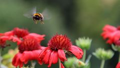 Letztes Jahr im Sommer ...