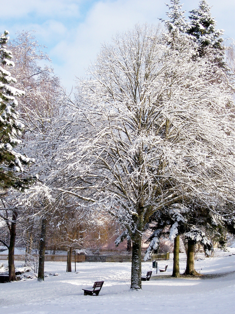 Letztes Jahr im Winter