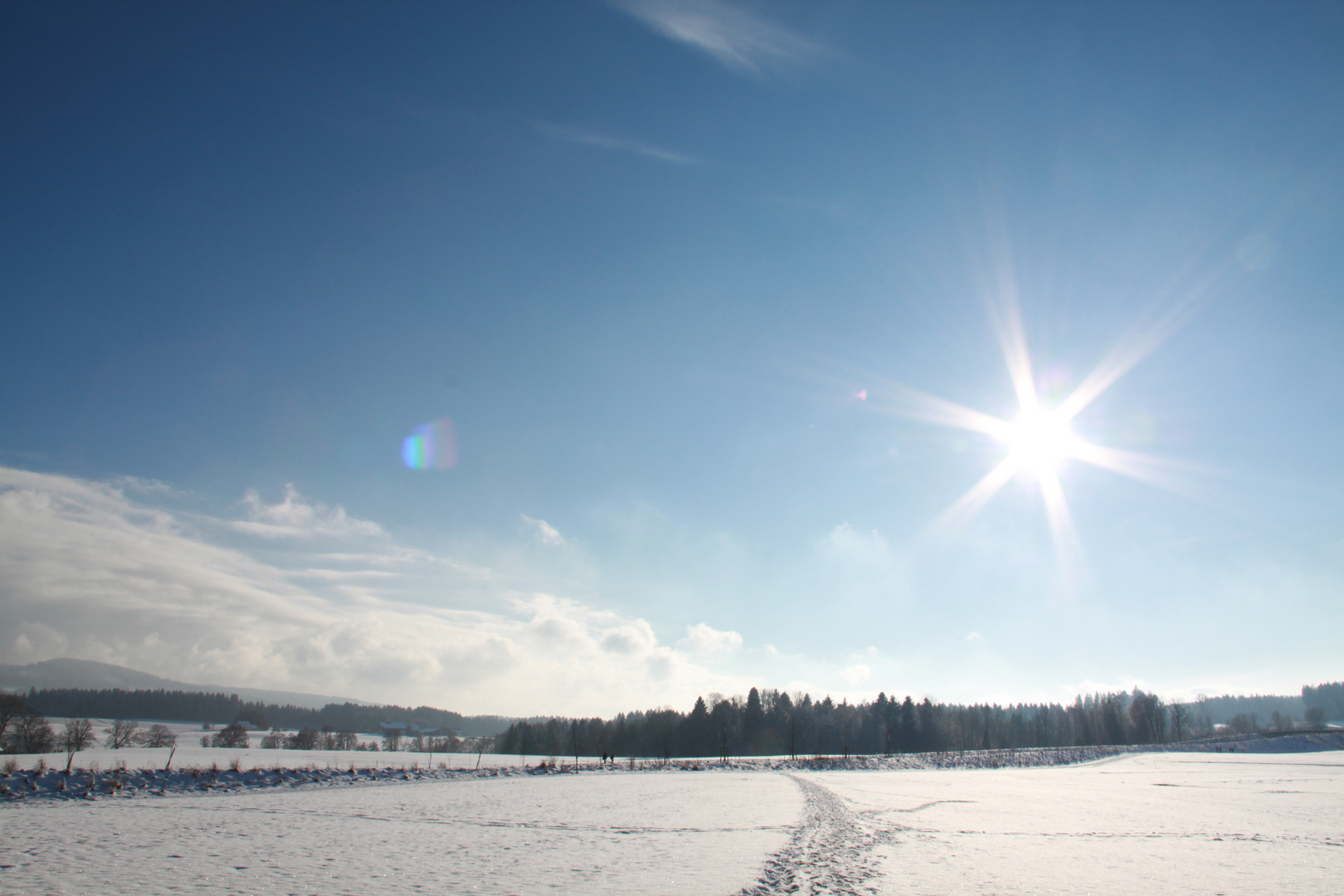 letztes Jahr im Winter