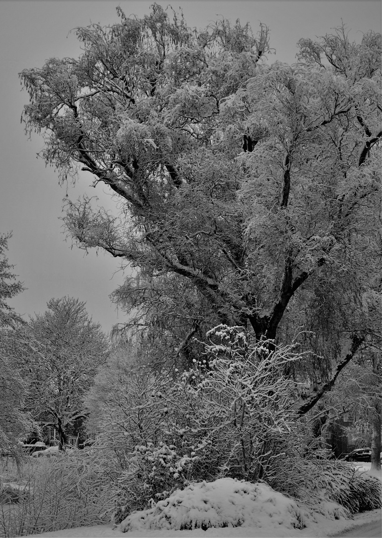 Letztes Jahr noch... - Schnee an der Dechaneischanze in Münster