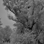 Letztes Jahr noch... - Schnee an der Dechaneischanze in Münster