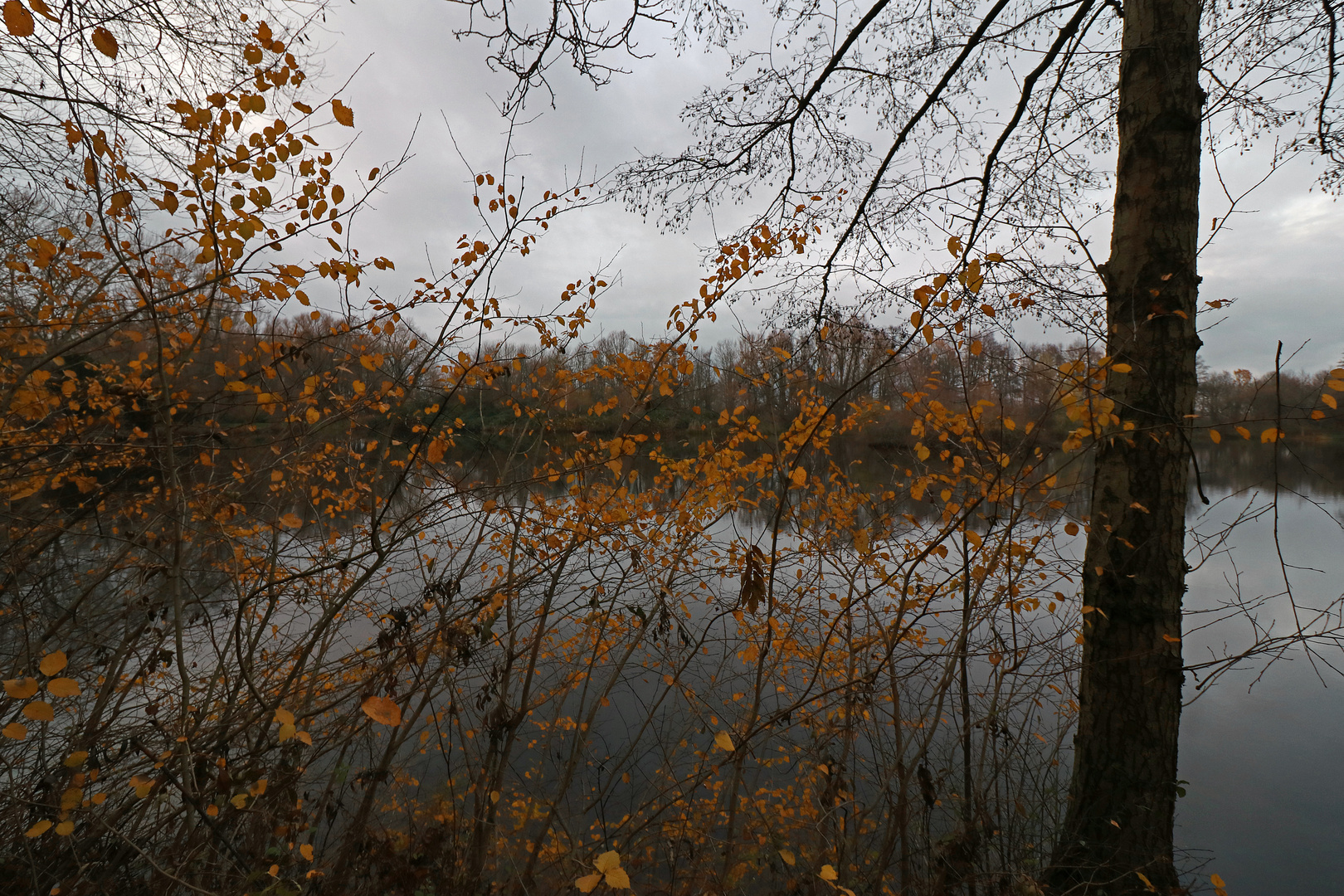 Letztes Leuchten