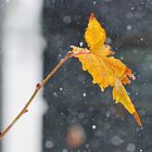 Letztes Leuchten im beginnenden Schneetreiben