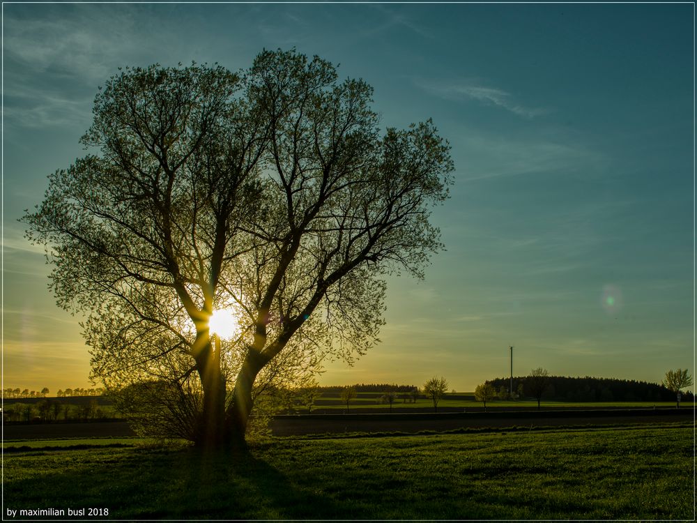 Letztes Licht