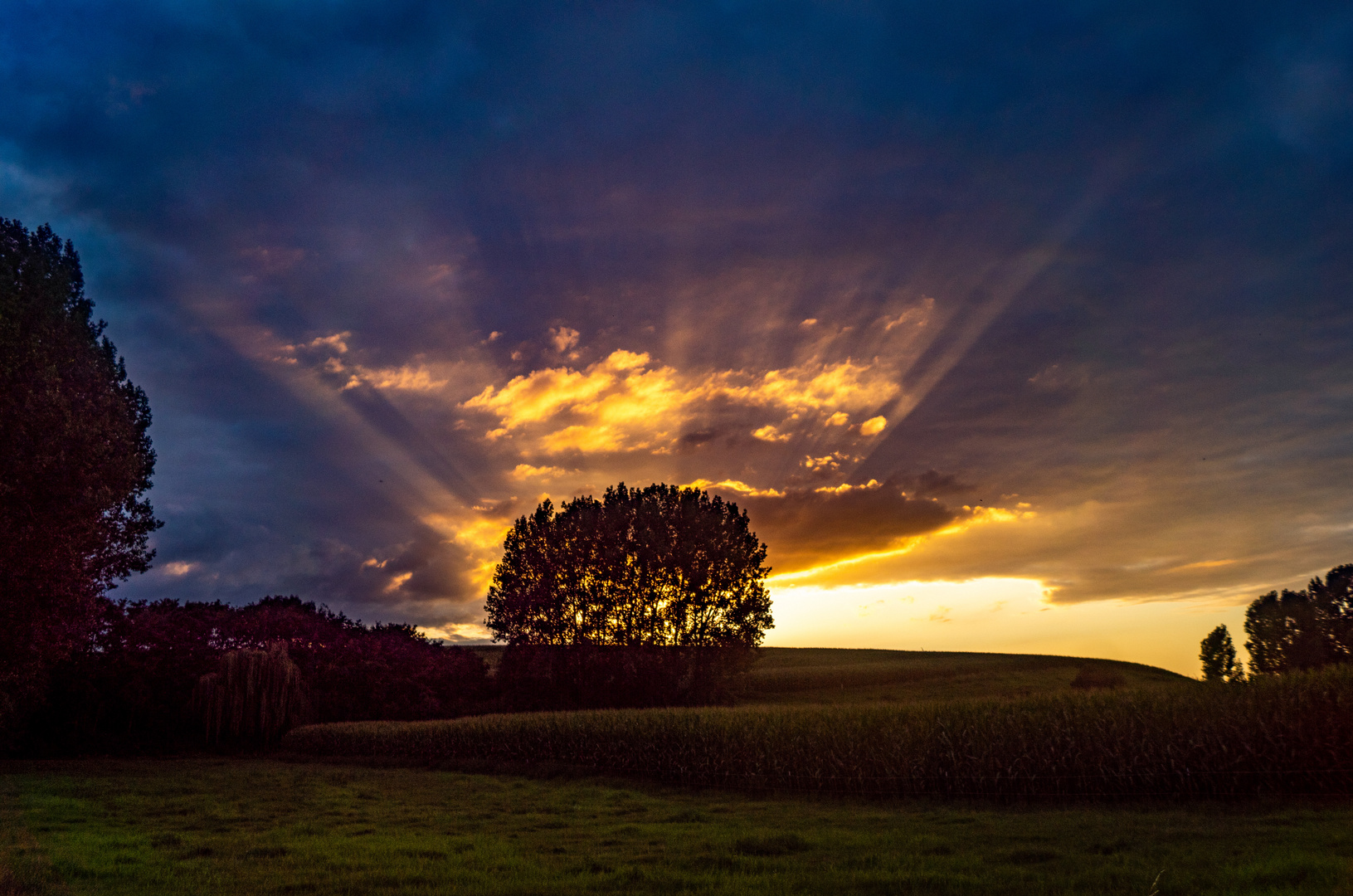 Letztes Licht am Abend