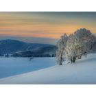 Letztes Licht am Schauinsland