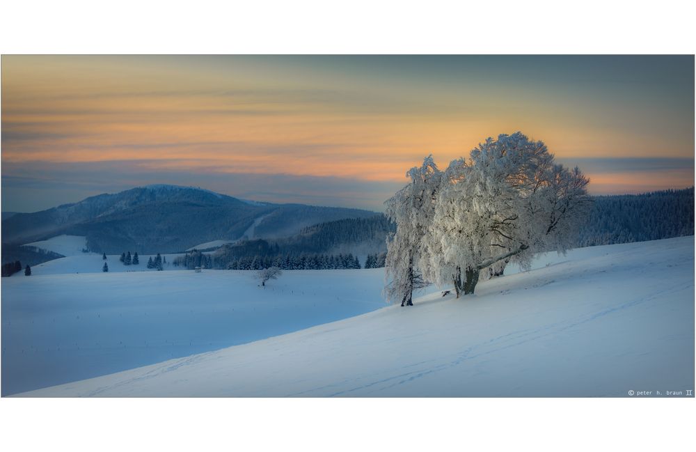 Letztes Licht am Schauinsland