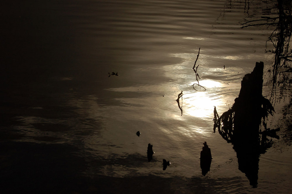 Letztes Licht am See