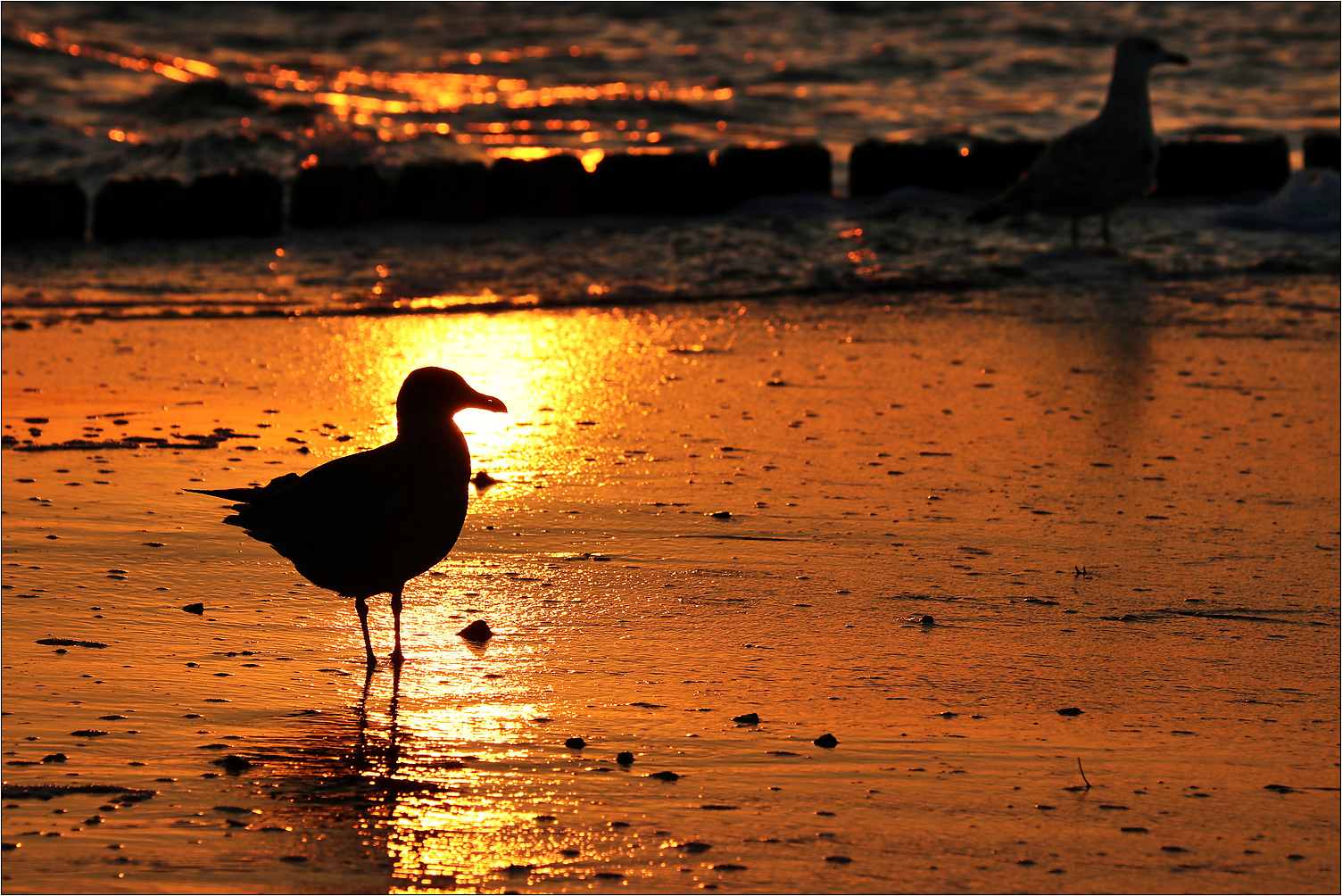 Letztes Licht am Strand...