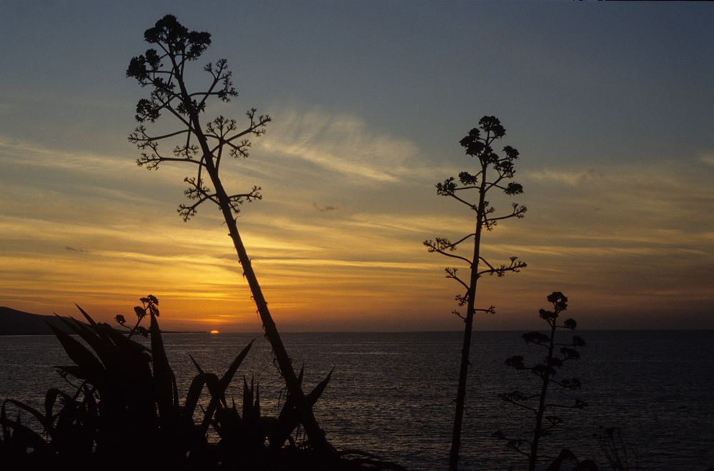 Letztes Licht auf Rhodos