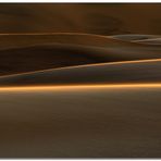 Letztes Licht bei den Duenen - Last light at the dunes