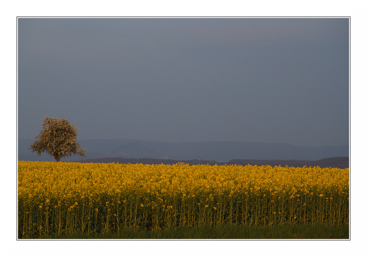 Letztes Licht.