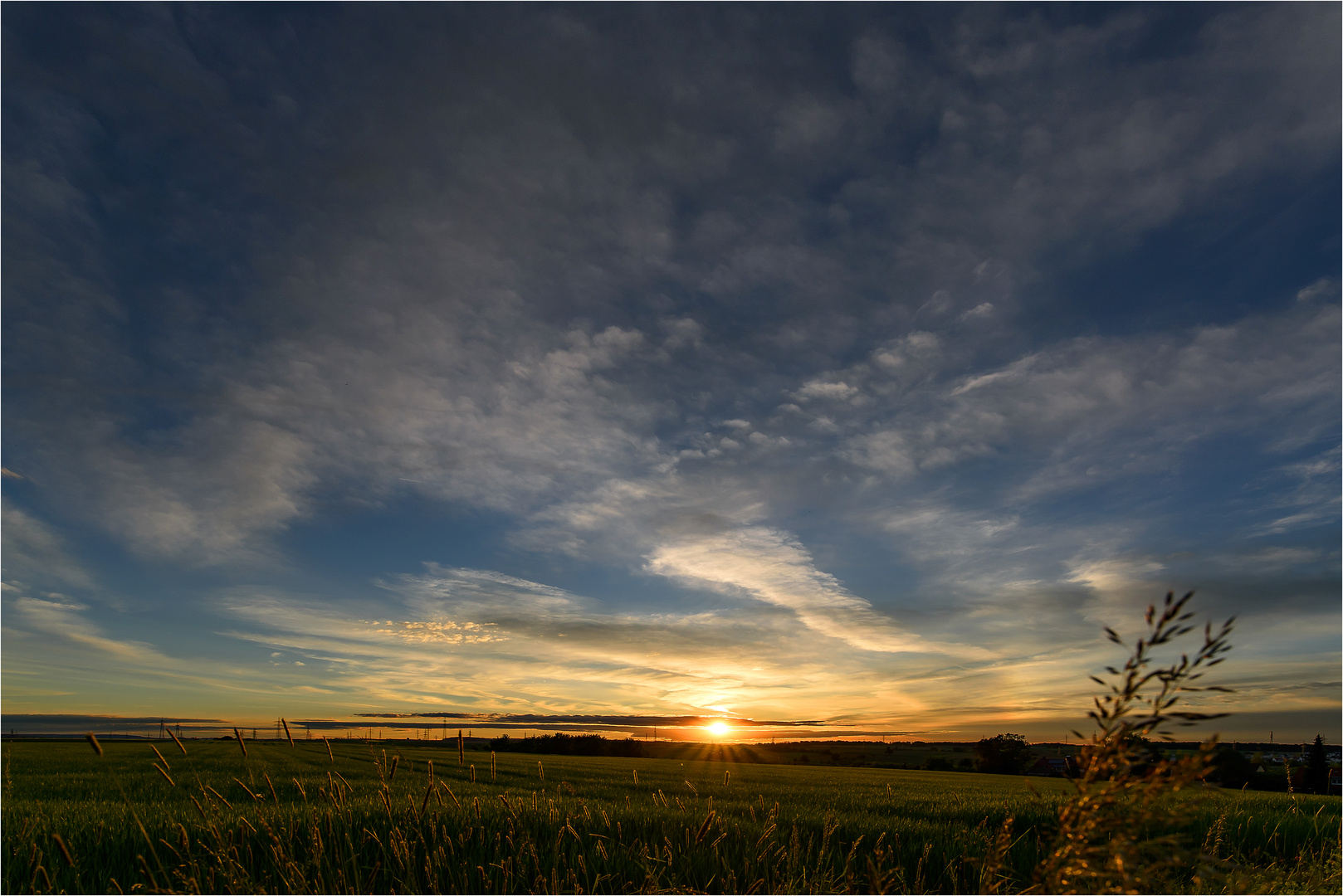 letztes Licht im Feld