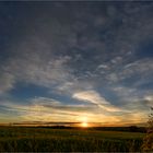 letztes Licht im Feld