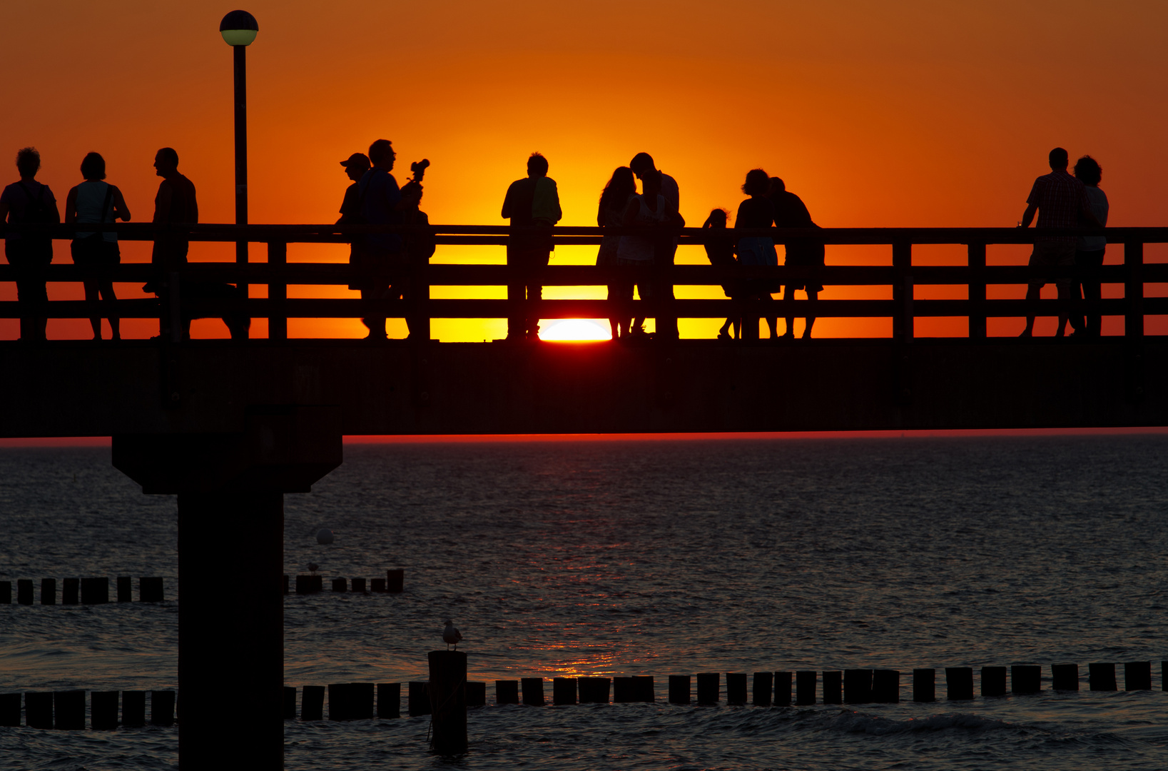 Letztes Licht in Zingst