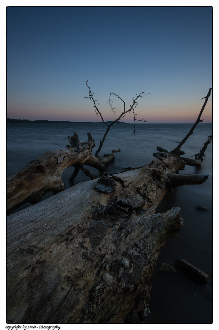 Letztes Licht - Rügen 2013