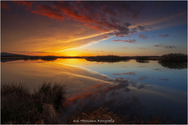 Letztes Licht über dem Großen Torfmoor.