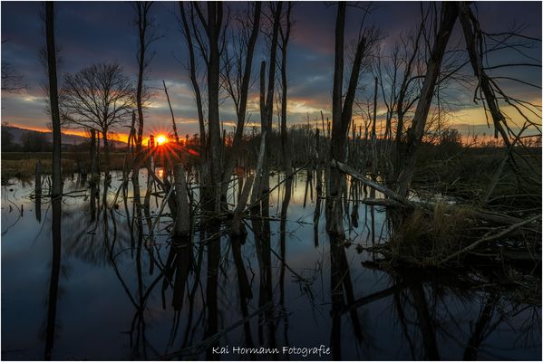 Letztes Licht über dem östlichen großen Torfmoor.