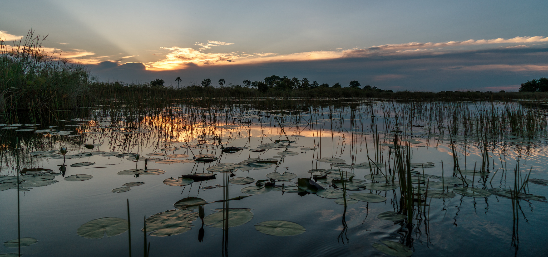 Letztes Licht über dem Okavango