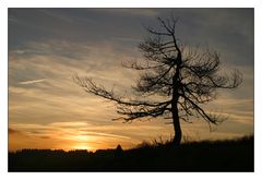 Letztes Oktoberlicht auf der Hochrhön