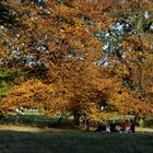 Letztes Picknick im Jahr?