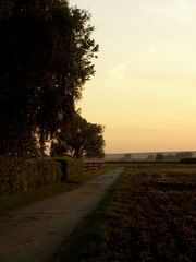 letztes Sommerlicht auf Koppelweg