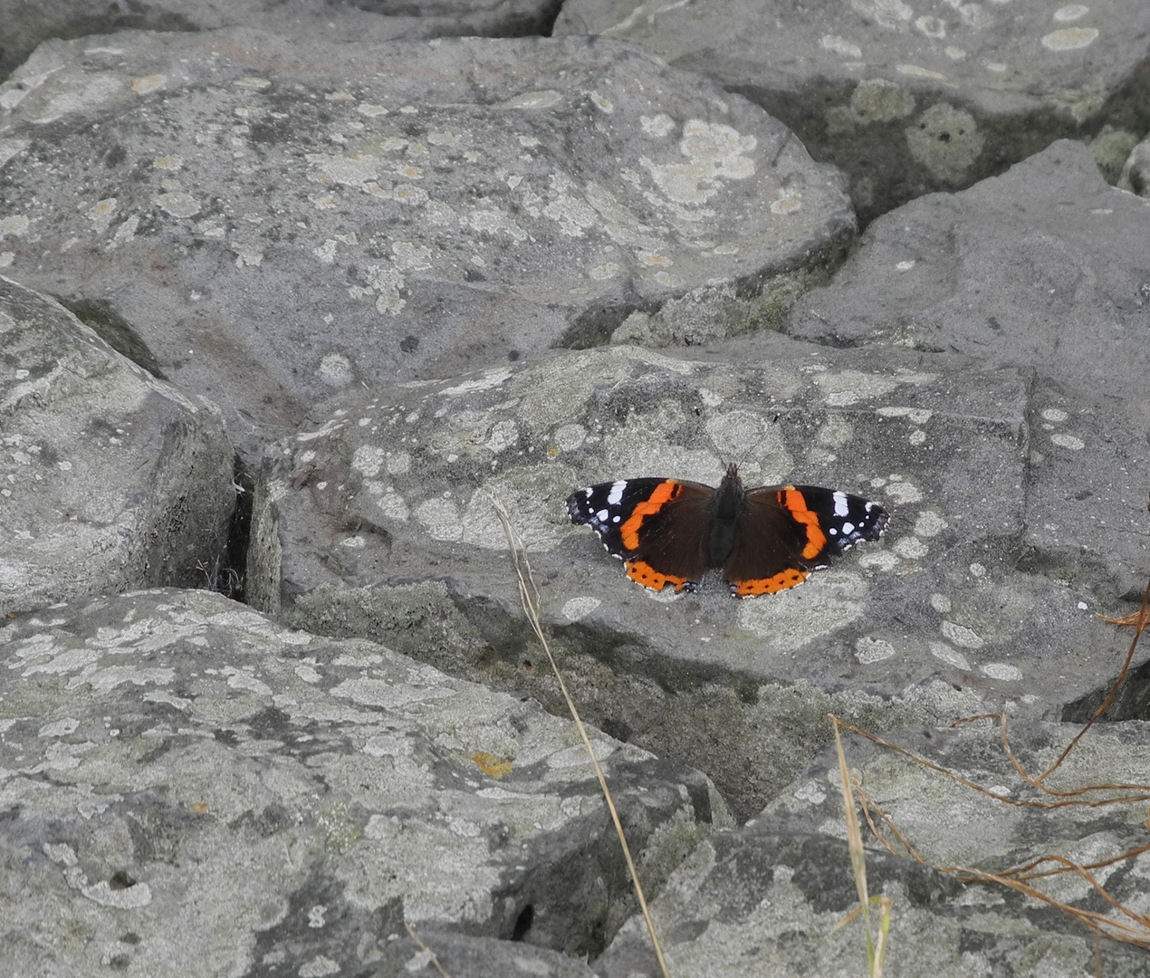 Letztes Sonnenbad