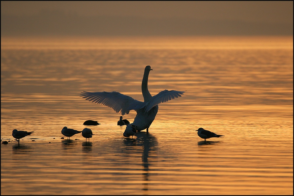 Letztes Sonnenbad