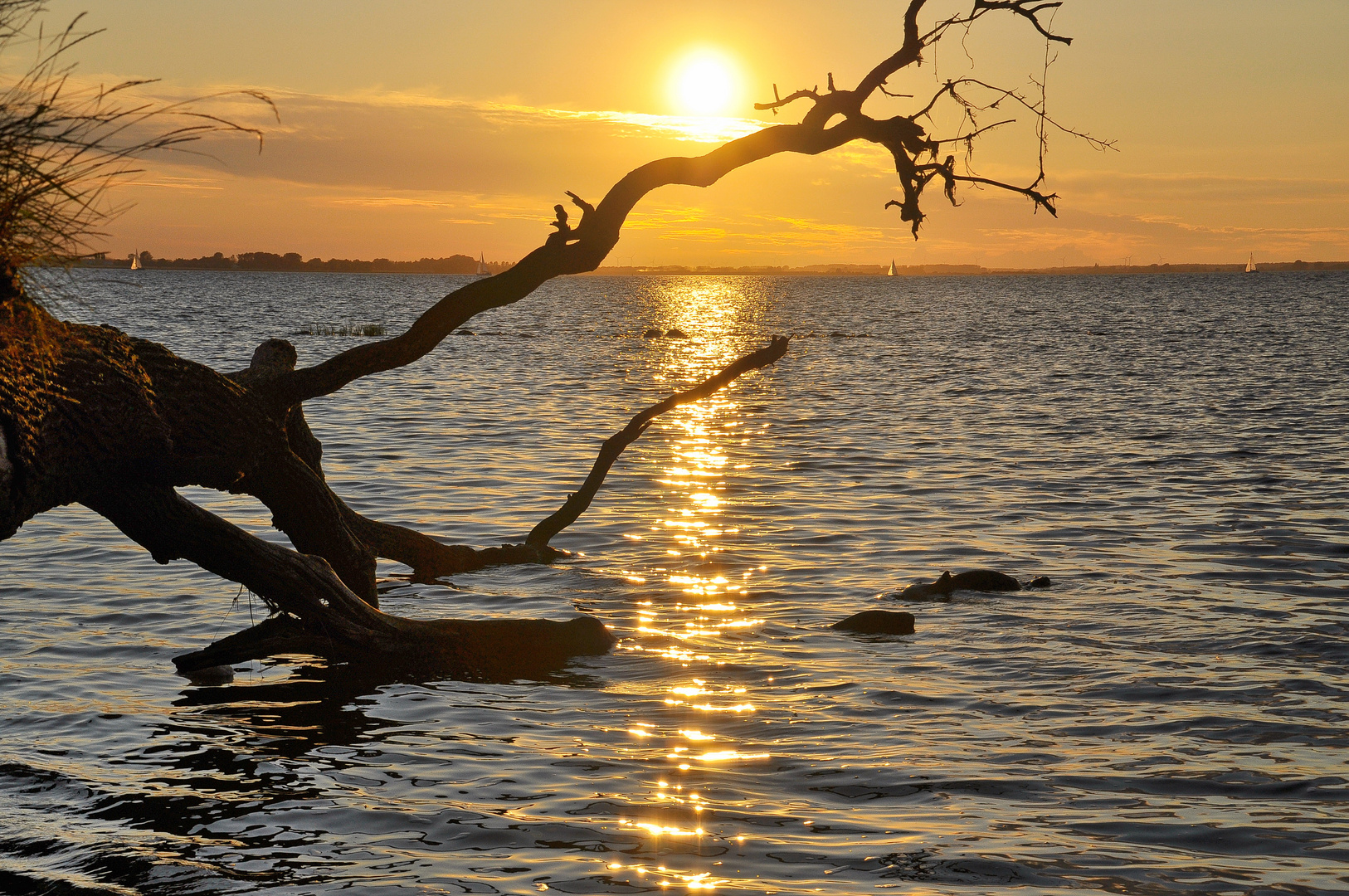 Letztes Sonnengold über dem Greifswalder Bodden