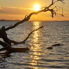 Letztes Sonnengold über dem Greifswalder Bodden