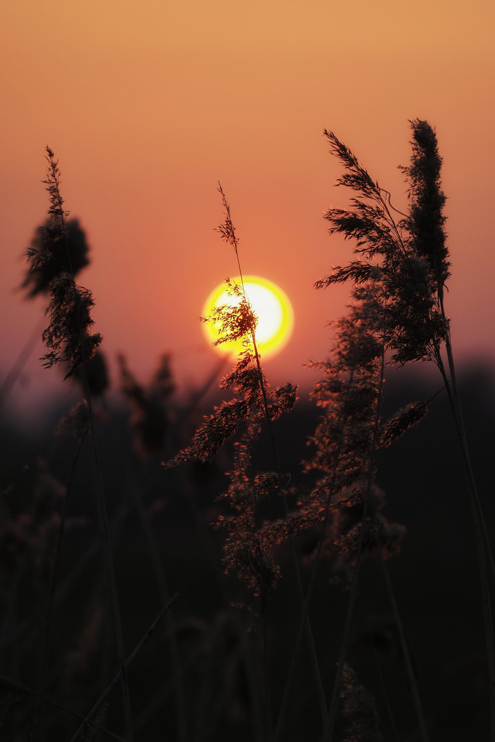 Letztes Sonnenlicht