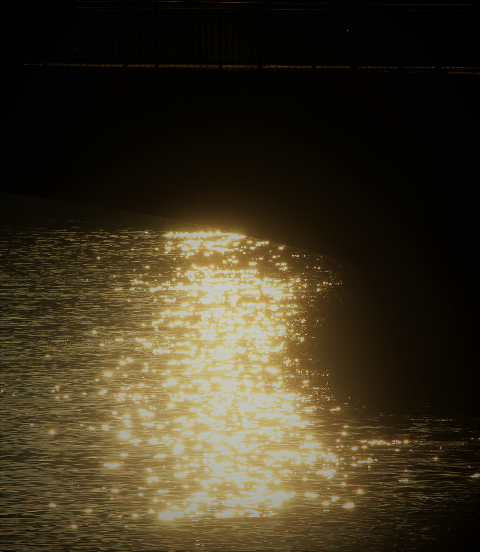 letztes Sonnenlicht auf dem Neckar