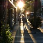 Letztes Sonnenlicht in den Straßen von Asheville