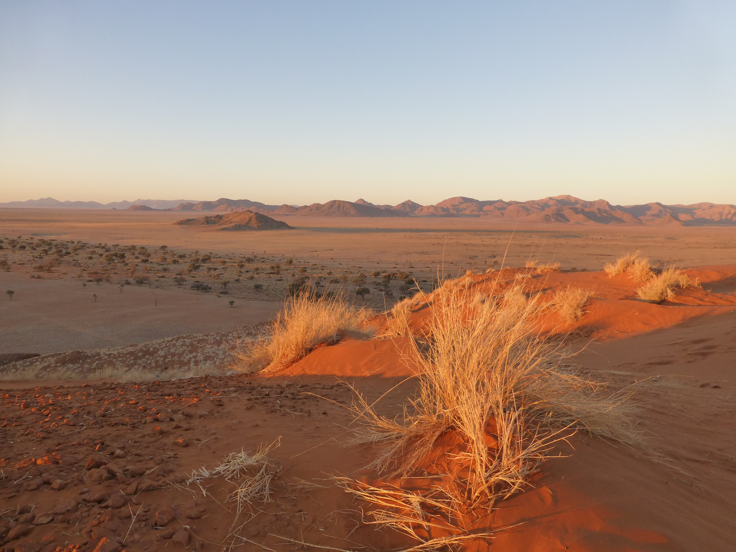 Letztes Sonnenlicht in der Wüste, Namibia