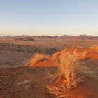 Letztes Sonnenlicht in der Wüste, Namibia