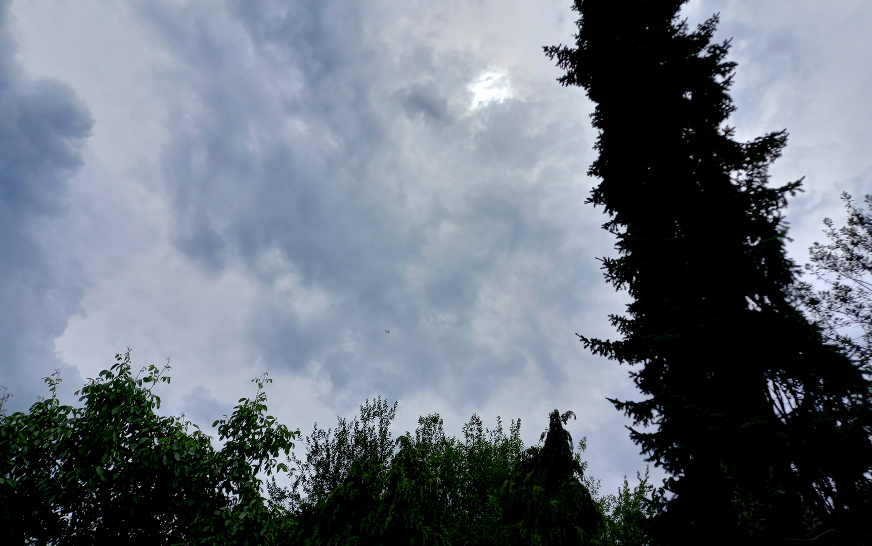 Letztes Sonnenlicht vor dem großen Regen