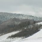 Letztes Sonntag,von mein Fenster, in Barr, Elsass, Frankreich