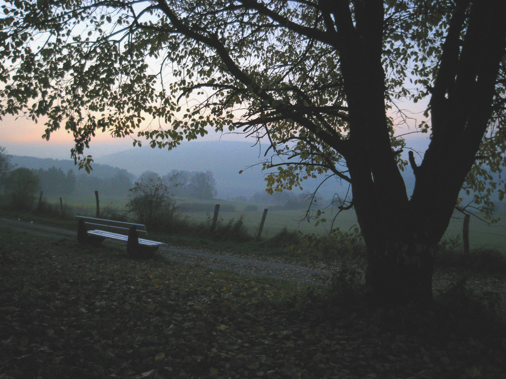 Letztes Tageslicht